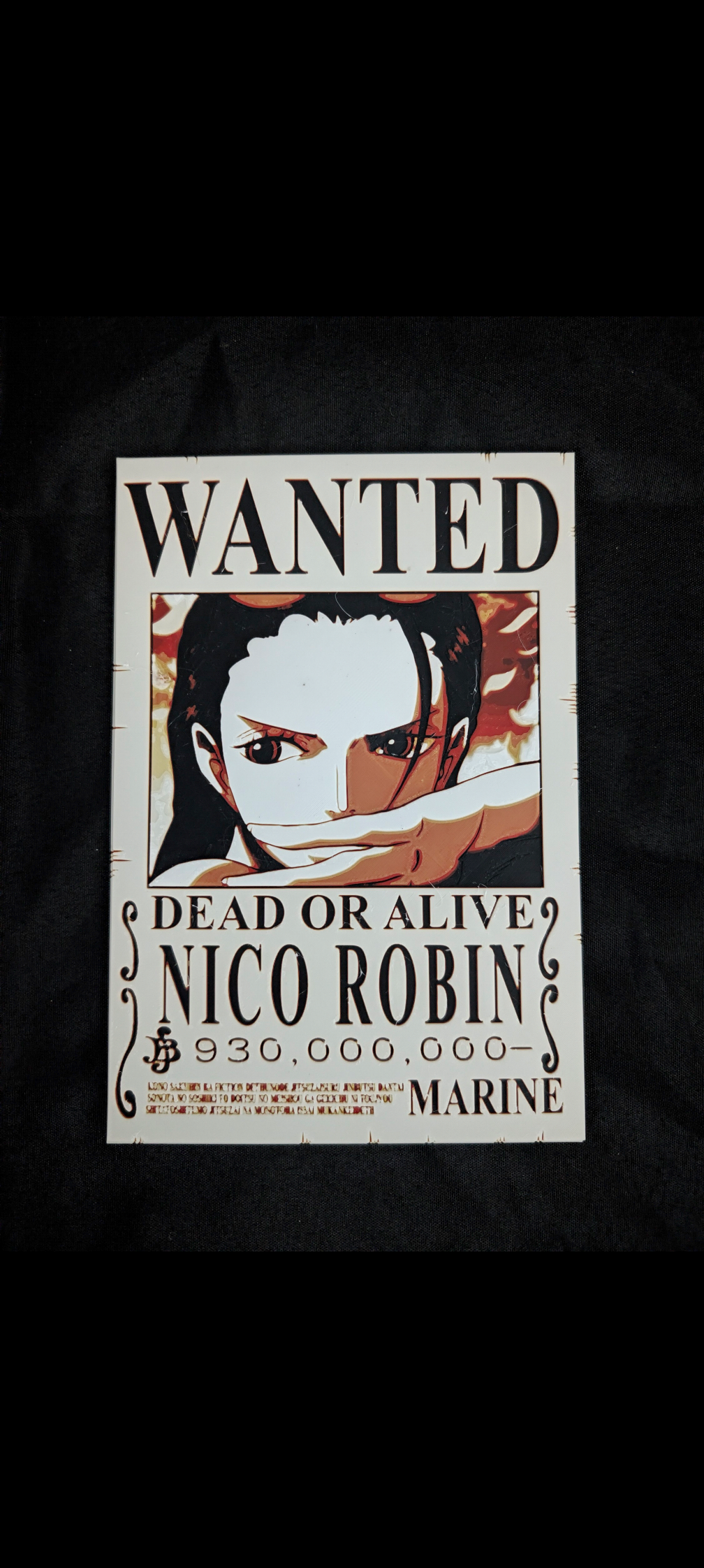 One Piece Wanted Poster