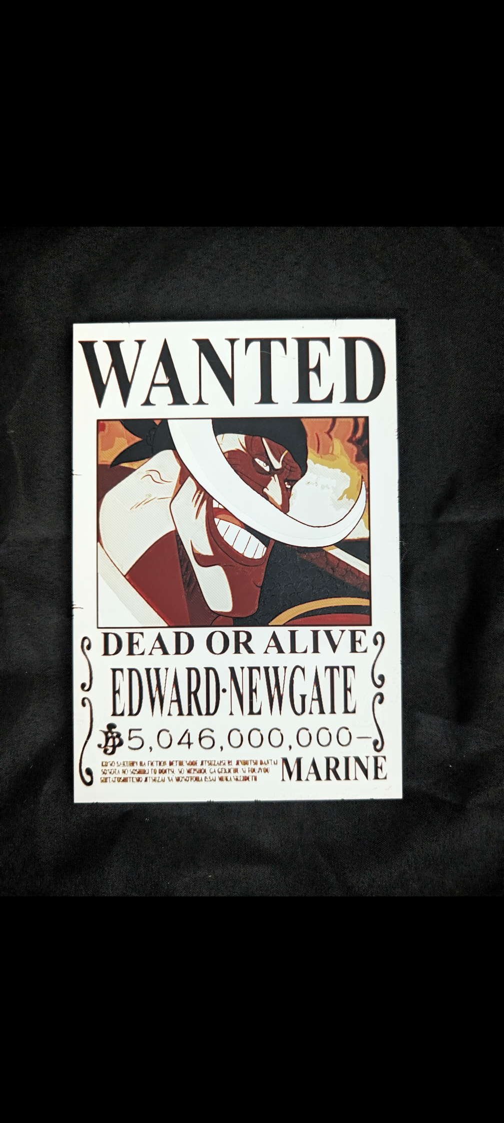 One Piece Wanted Poster