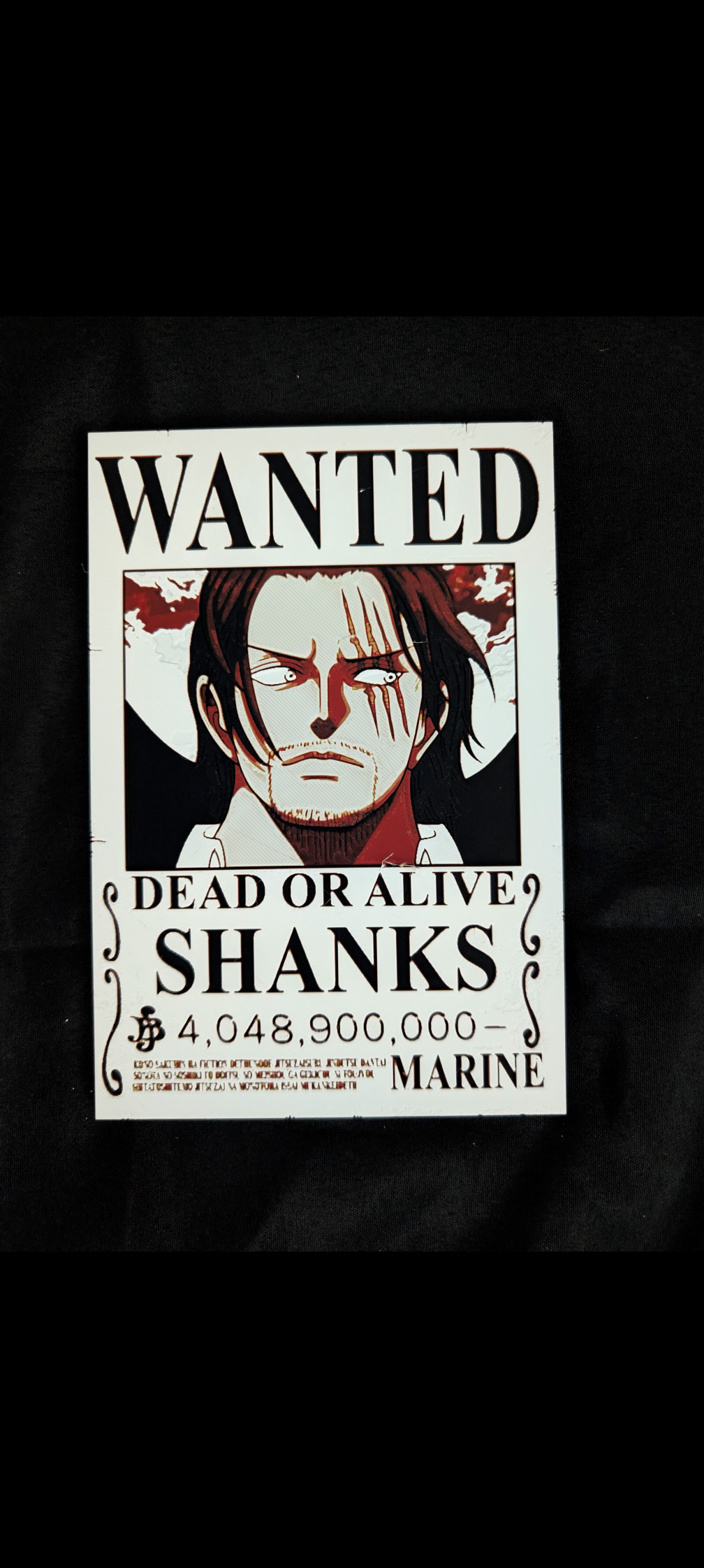 One Piece Wanted Poster