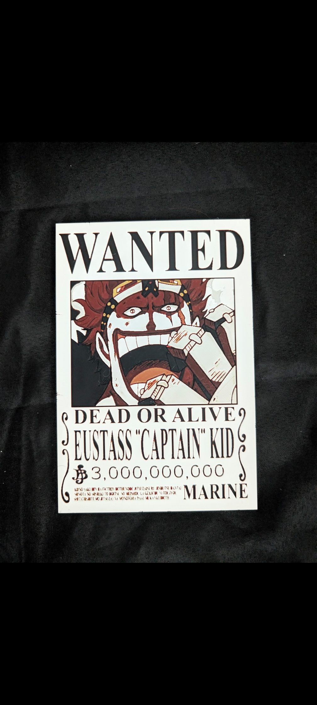 One Piece Wanted Poster