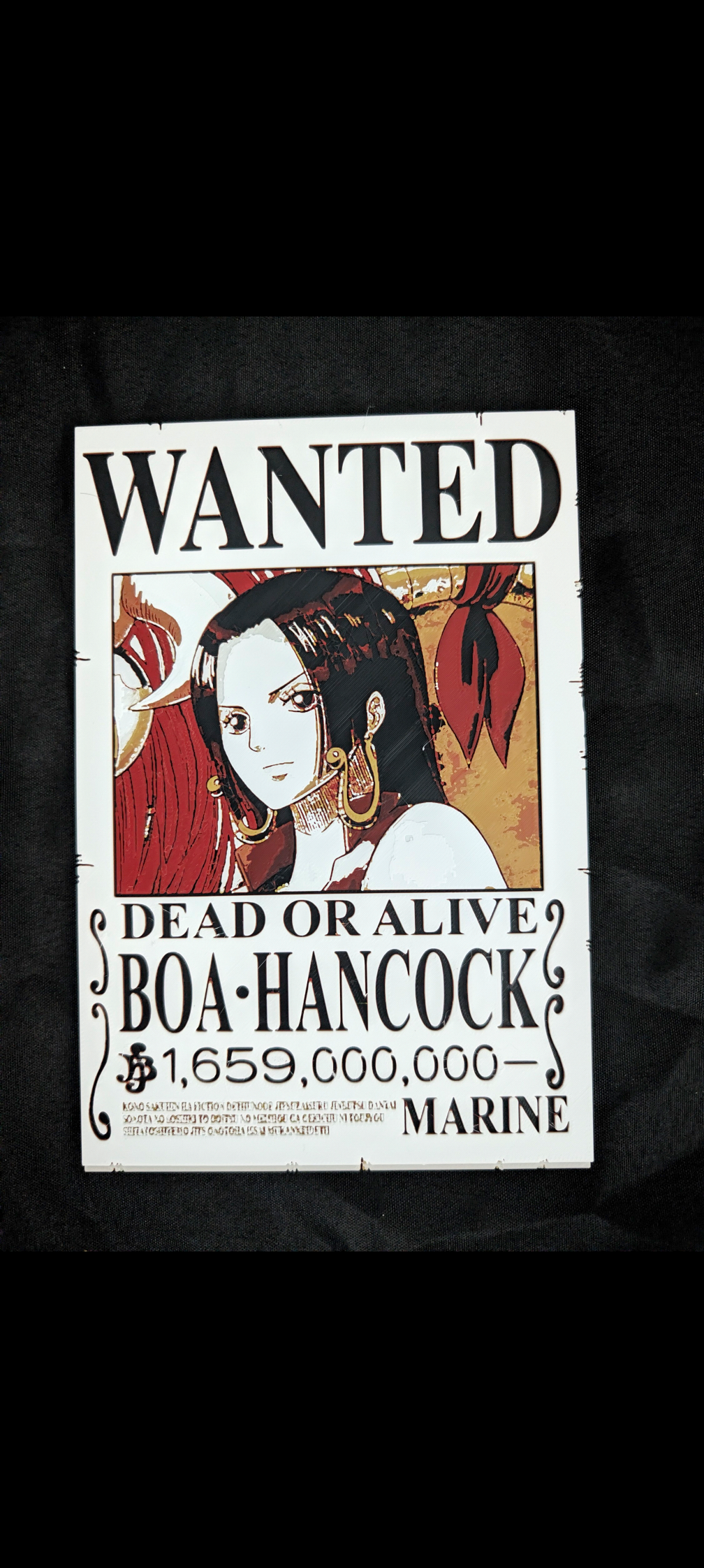 One Piece Wanted Poster