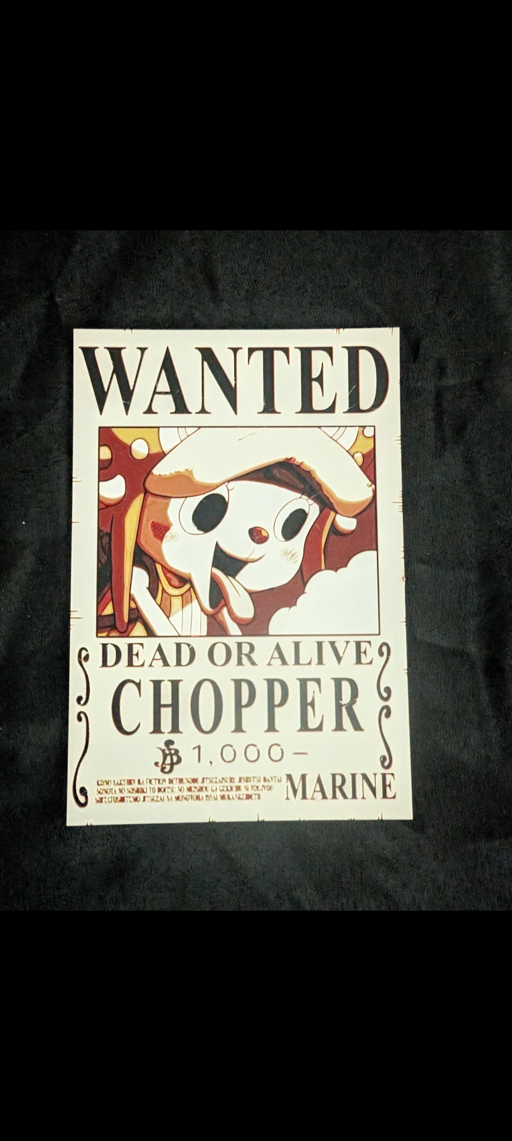 One Piece Wanted Poster