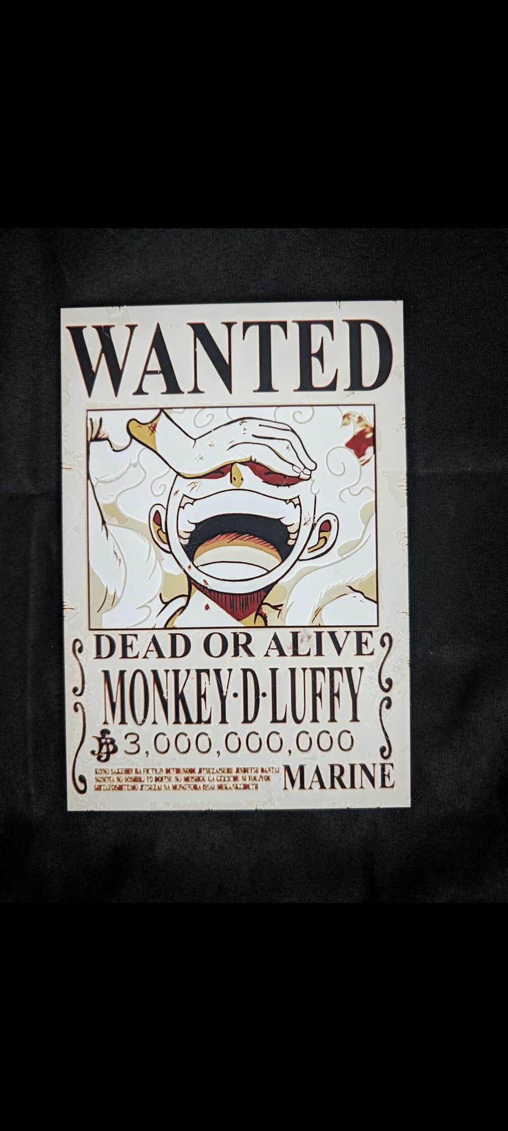 One Piece Wanted Poster