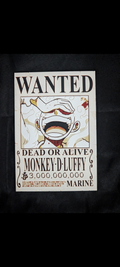 One Piece Wanted Poster