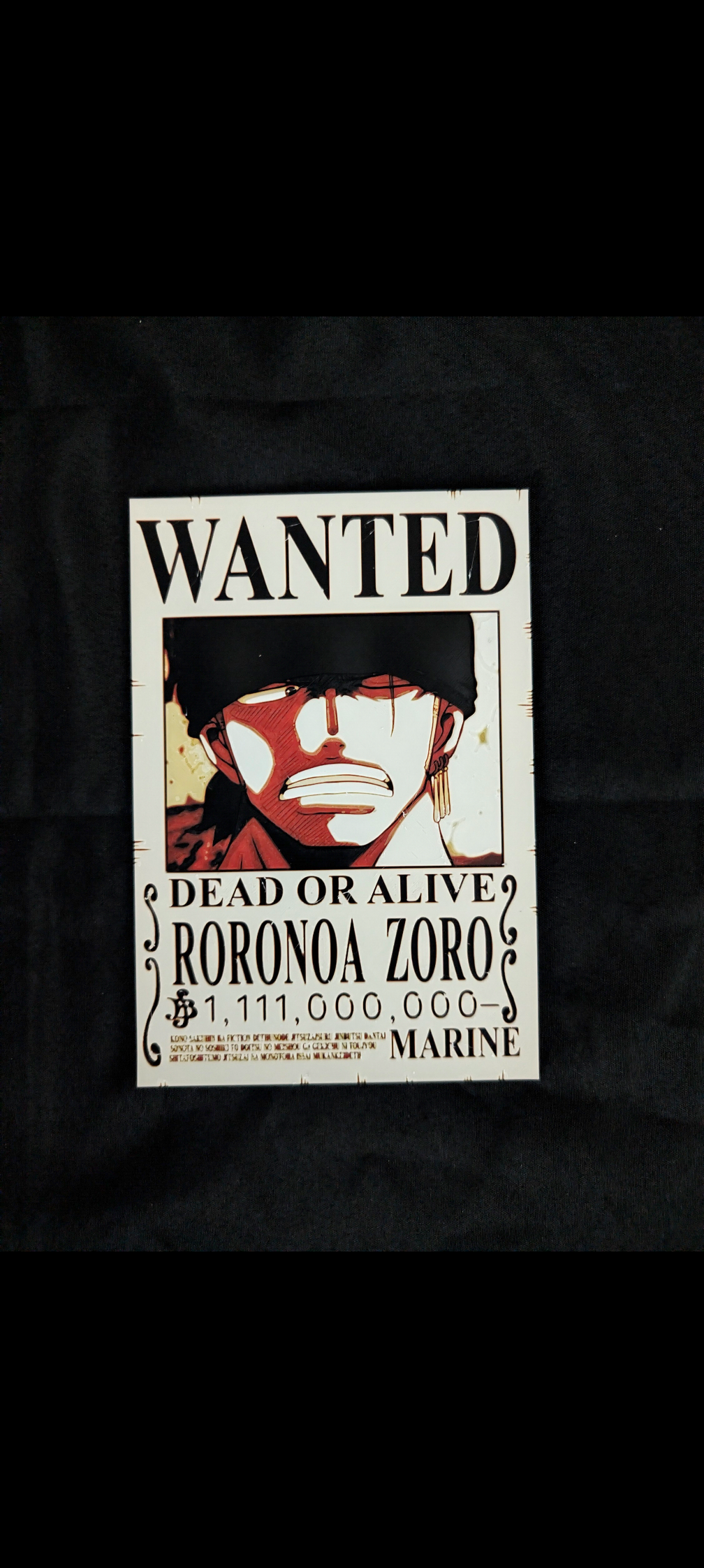 One Piece Wanted Poster